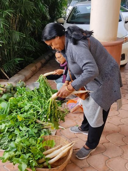 Customers selecting fresh radishes from a farmer's ground display.