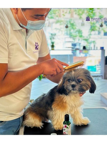 PawsnCollars - Pet Grooming & Spa The Holistic Spa Experience photo 10