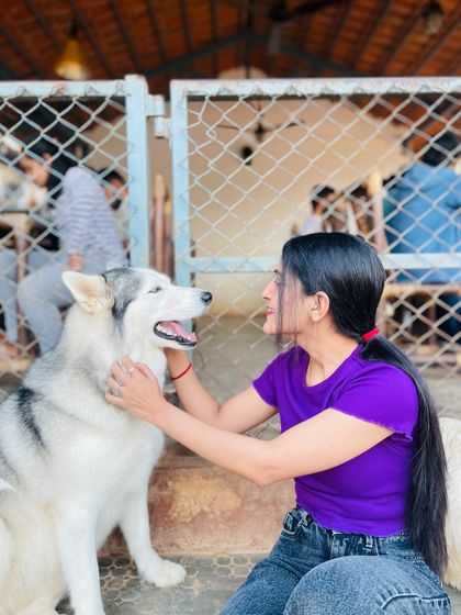 A visitor shares a special moment with one of our stunning Huskies, gently petting its neck.