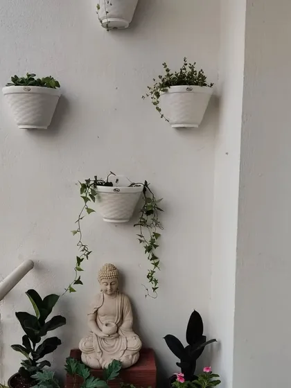 A close up of the serene corner with the Buddha statue, showing how we use hanging and wall mounted pots to draw the eye upward and create a sense of peace.
