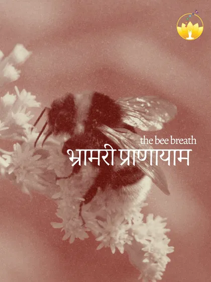 The Bee Breath, or Bhramari Pranayama, is a simple yet profound practice. It helps to quiet the mental chatter and connect you to the subtle vibrations within.