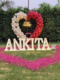 Party & Celebration Decoration