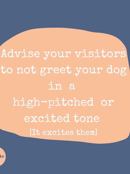 High-pitched, excited greetings from visitors will only fuel your dog's jumping. I advise clients to ask their guests to be calm and quiet when they first enter the house.