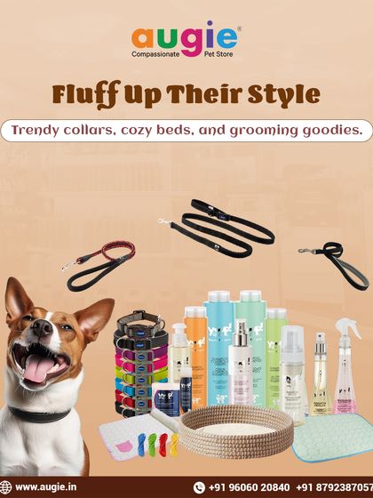 Augie Pets - Pet Supplies Playtime & Cozy Comforts photo 5