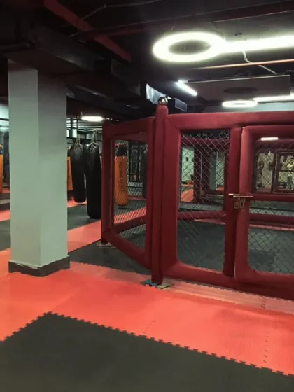 A clear view of our professional-grade octagon cage, the centerpiece of our facility. This is where techniques are honed, strategies are tested, and fighters are forged.