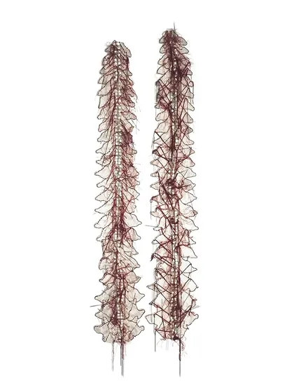 'Eye of a Needle', a delicate installation by Surekha, featured at the Seattle Art Fair. Her work explores gender and identity using fabric, thread, and jasmine.