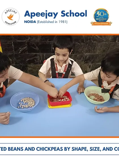 Our nursery students sorted beans and chickpeas by shape, size, and color. This simple yet effective activity helps develop early cognitive skills like classification and observation.