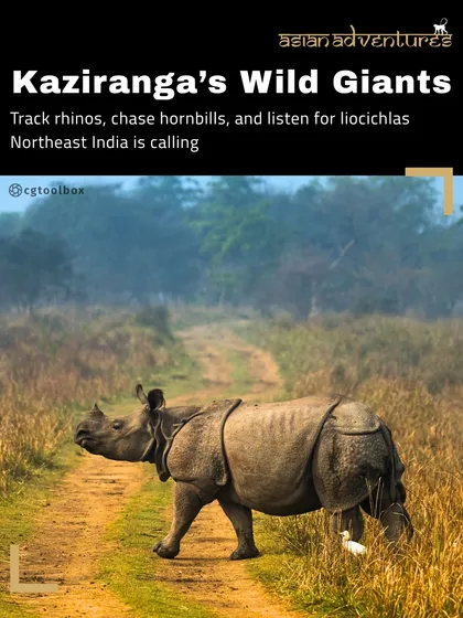 A Greater One-horned Rhino crosses a path in Kaziranga National Park. While famous for its mammals, Kaziranga is also an incredible birding destination, and this poster highlights our tours to this wild giant's home.