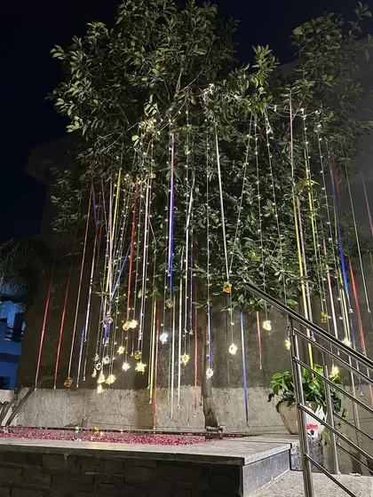 A creative way to decorate for a party: we adorned this tree with colorful ribbons and star-shaped lights for a festive touch.