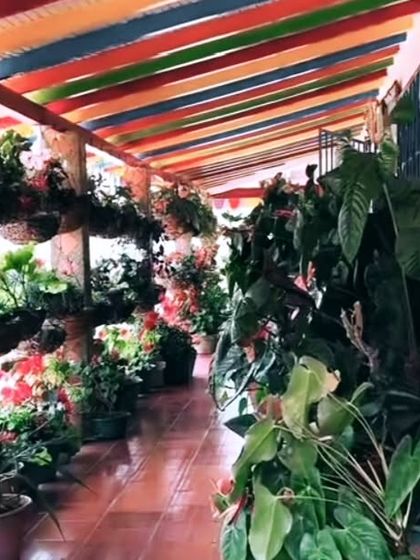 Make Heaven My Garden - Garden Design & Installation Balcony Makeovers photo 4