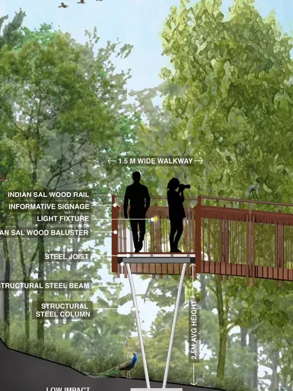 This detailed section drawing of the walkway illustrates its low-impact design. The structure is supported by slender steel columns, ensuring the forest floor remains largely untouched and preserving the natural habitat.