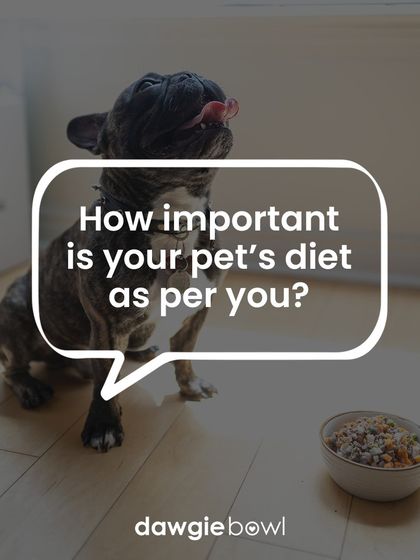 Let's chat! How important is your pet's diet to you? I believe it's the very basis of their well-being, and I love hearing from other pet parents on this topic.