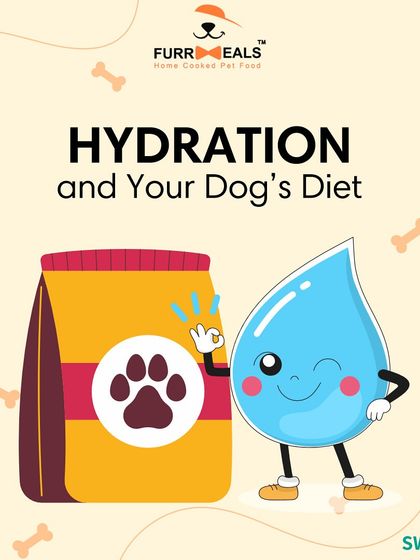 Is my dog dehydrated? This series explains what 'hydration status' means, how to check for it using the skin and gum tests, and why drinking more water isn't always a sign of good hydration.