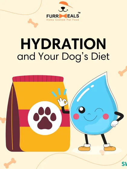 Is my dog dehydrated? This series explains what 'hydration status' means, how to check for it using the skin and gum tests, and why drinking more water isn't always a sign of good hydration.