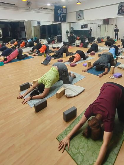 Students in our Ashtanga Vinyasa workshop, exploring poses with mindful attention. We create a focused environment where practitioners can safely challenge themselves and deepen their understanding.