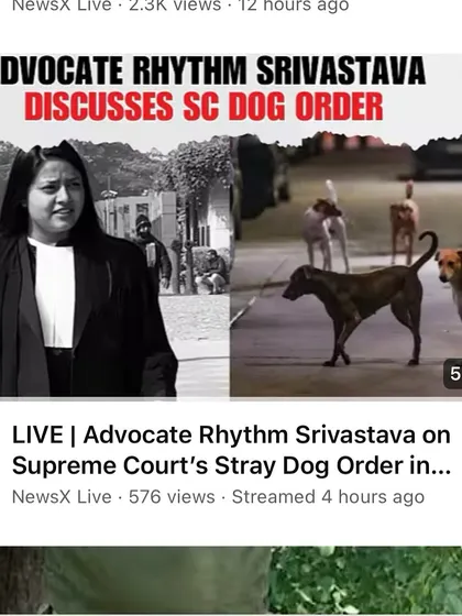 A screenshot of my live discussion on NewsX about the Supreme Court's stray dog order. I argue that stray dogs are not a menace and that the focus should be on responsible sterilization and vaccination, not removal.