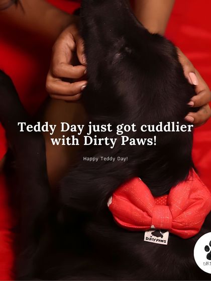 Teddy Day gets even cuddlier with our Valentine Red Bow. It's a sweet and simple way to make your furry friend feel extra special.