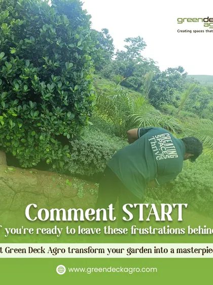 If you are ready to leave gardening frustrations behind, let our team transform your garden into a masterpiece. Here, our mali tends to a large landscape project.