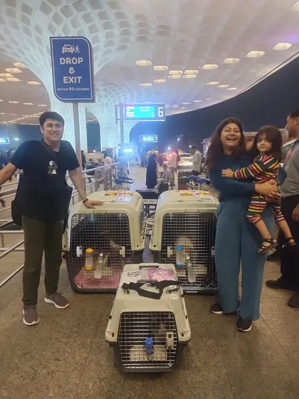 A big family move! Penny, Puru, and Pichku with their family at Mumbai airport, ready for their journey to the USA. I handle logistics for multiple pets traveling together.