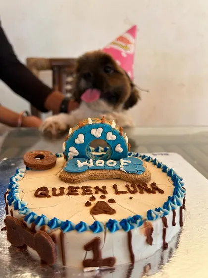 We love hosting celebrations. Our park is a popular venue for dog birthday parties, complete with special dog-friendly cakes and plenty of space for your pup and their friends to celebrate their big day.