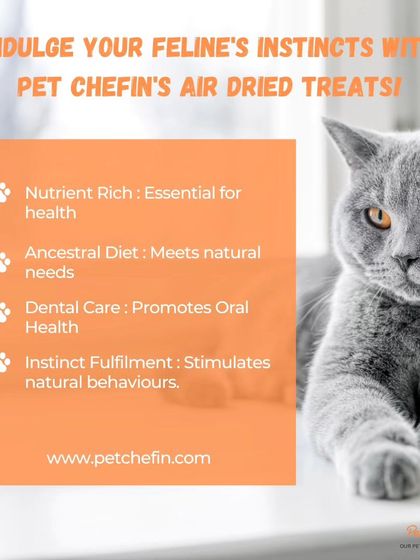 Indulge your cat's natural instincts with our air-dried treats. They are nutrient-rich to meet their ancestral dietary needs, promote oral health, and fulfill their instinctual craving for meat.
