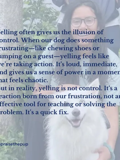 Yelling gives us the illusion of control, but it's really a reaction born from our own frustration. It's a quick fix that doesn't solve the underlying problem or teach the dog a better way to behave in the future.