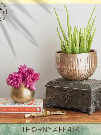 Create a beautiful vignette on any tabletop. Here, our ribbed metal planter in a bronze finish is styled with a vintage box and a small brass vase, showing how our pieces can blend with other decor to create a warm, inviting look.