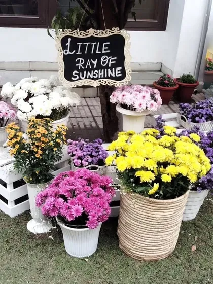 A little ray of sunshine is on the way. We used pots of beautiful, colorful flowers like chrysanthemums to create a rustic and charming "Baby in Bloom" themed welcome area.