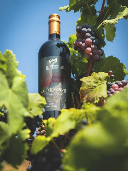 This is where it all begins. A bottle of our La Réserve, nestled amongst the very vines and grapes that created it. This image connects our finished wine directly to its origin, showcasing the soul of our vineyard.