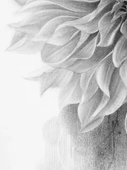 A detail of the lower petals against the abstract, atmospheric background.