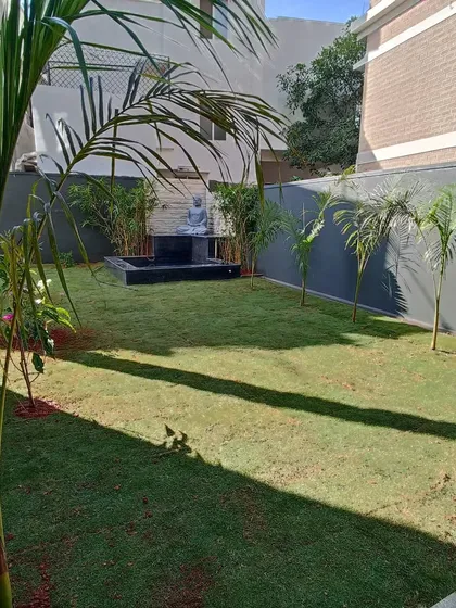 A wide shot of the finished garden, showing the new lawn, young palm trees, and the serene water feature in the background.