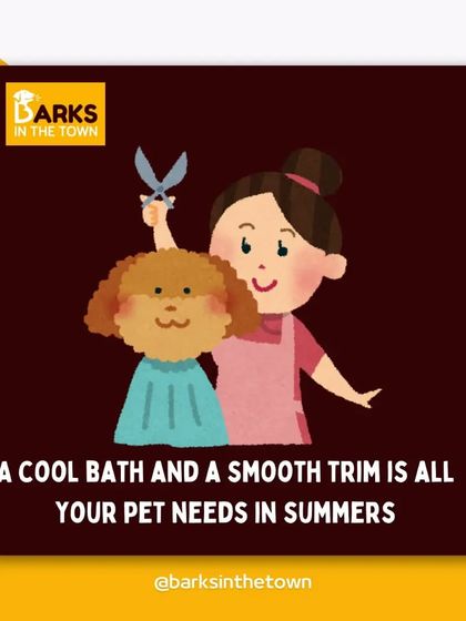 A cool bath and a smooth trim are exactly what your pet needs in the summer. It helps them stay cool and keeps their skin healthy.