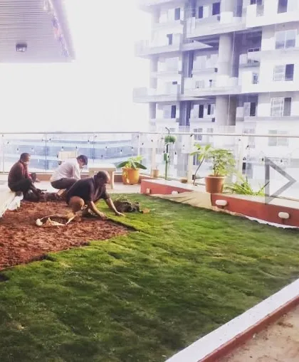 Our team is seen here installing a natural grass lawn on a residential terrace. We handle the entire process, from preparing the base layers for proper drainage to laying the fresh turf, transforming an empty space into a green, usable lawn.