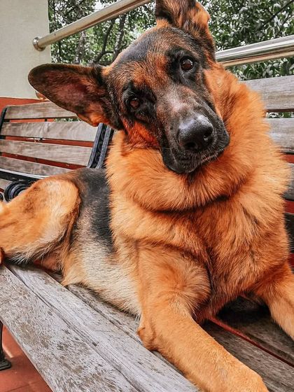 A portrait of my handsome boy, Theo. As he gets older, I'm reminded of how precious our time is and my commitment to making his world as big and happy as possible.