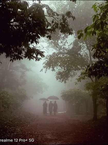 Three figures with umbrellas walk down a foggy path in Matheran. The silhouettes and the dense mist create a mysterious and cinematic mood, telling a story of a shared journey through the clouds.