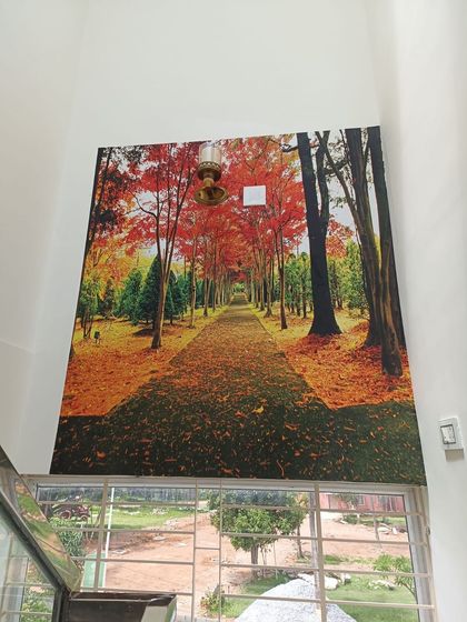 Ansari - Wallpaper & Mural Installation Custom Murals & Feature Walls photo 29