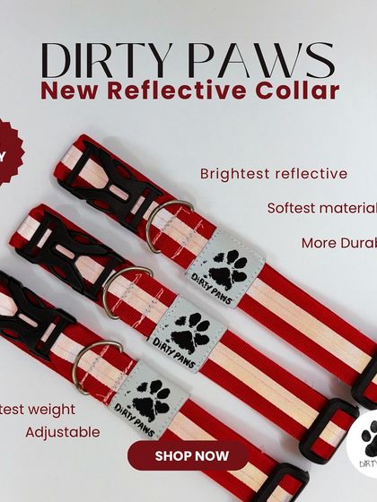 The new reflective collar is also available in this vibrant red. It offers the same high visibility and comfort, ensuring there's a style for everyone.
