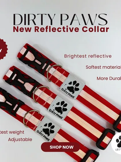 The new reflective collar is also available in this vibrant red. It offers the same high visibility and comfort, ensuring there's a style for everyone.