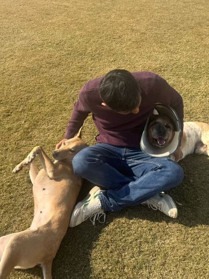 Celebrating a birthday with our three musketeers. Moments like these, filled with cuddles and trust, are what we live for.