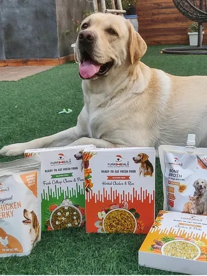 A happy, healthy dog is the best sight in the world. Here's a look at our complete range of nutritious offerings, from freshly cooked meals like Fresh Cottage Cheese & Peas to our protein-packed Chicken Jerky and healing Bone Broth.