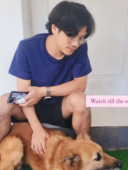 A team member relaxing with one of our senior dogs. We give them the calm and gentle care they need.