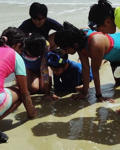 Nature & Community Engagement Programs
