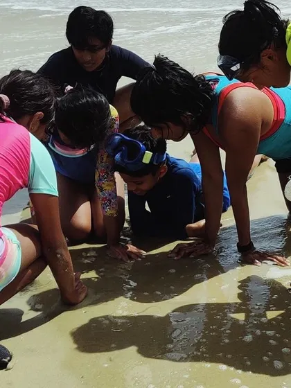 On the shores of the Gulf of Mannar, our young explorers get up close with marine life. This moment of intense, collaborative curiosity is what our coastal science trips are all about, fostering a love for marine ecosystems.