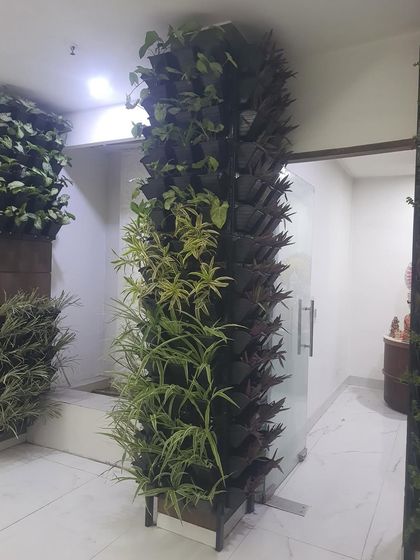 Green Walls for Offices & Businesses photo 7