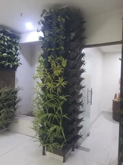 A tall, slender vertical garden pillar designed for a modern office. This shows how even narrow spaces can be used to make a big green impact.