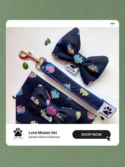 My Love Mosaic set, featuring a collar, leash, and bow in a colorful heart print. It's a beautiful way to show your furry friend some love.