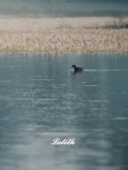 Lalith - Wildlife & Nature Photography Shadows & Silhouettes photo 10