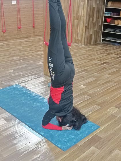 A student holds a stable Sirsasana (Headstand), a foundational inversion that we teach with a focus on proper alignment and safety.