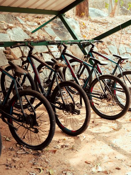 Discovery Village Resorts - Nature-based Getaways & Stays Thrilling Adventures photo 7