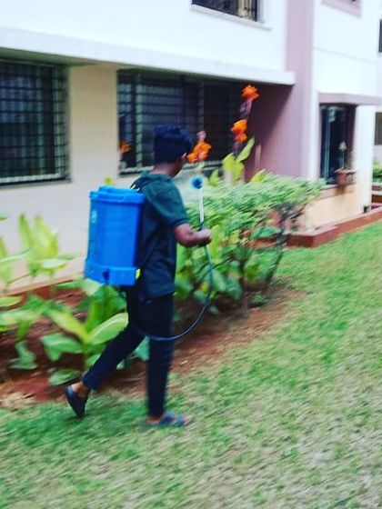 Pest control is a critical part of garden maintenance. Our team member is applying a safe and effective treatment to protect these shrubs from insects and disease, ensuring the garden stays healthy.